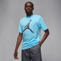 Nike Jordan мужские футболка синий