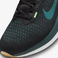 Nike Winflo 10 мужские Road Running Кроссовки цвет черный