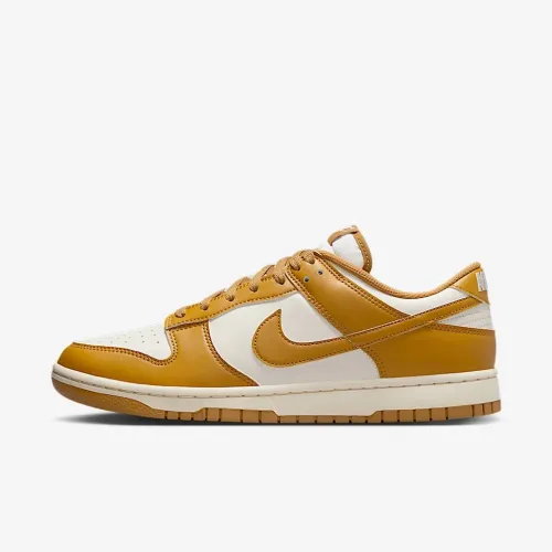 Nike Dunk Low Retro чоловічі Кросівки колір коричневий