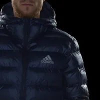 Куртка adidas 3-Stripes SDP Badge Of Sport GV5329 - Синяя