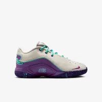 Nike LeBron XXII Big детские баскетбольные Кроссовки цвет коричневый