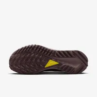 Nike Pegasus Trail 4 GORE-TEX жіноча Waterproof Trail Running взуття Black