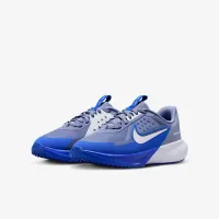 Nike Sonic Fly Big детские Running Кроссовки синий