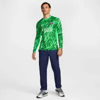 Paris Saint-Germain 2024/25 Stadium Goalkeeper чоловічі Nike Dri-FIT Soccer Replica Long-Sleeve Jersey колір зелений