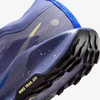 Nike Pegasus Trail 5 GORE-TEX жіноча Waterproof Trail Running Кросівки блакитний