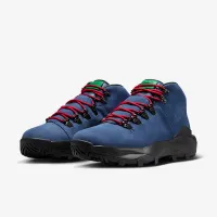 Nike Cygnal чоловічі Кросівки блакитний