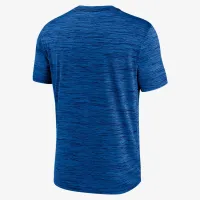Florida Gators Velocity Baseball Wordmark Stack чоловічі Nike Dri-FIT College футболка блакитний