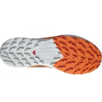 Кросівки для бігу Чоловічі Salomon SENSE RIDE 5 GTX Gore-Tex (474594)