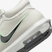 Nike LeBron Witness VIII баскетбольные Кроссовки цвет серый