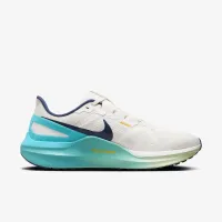 Nike Structure 25 чоловічі Road Running Кросівки колір сірий