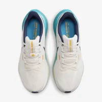 Nike Structure 25 чоловічі Road Running Кросівки колір сірий