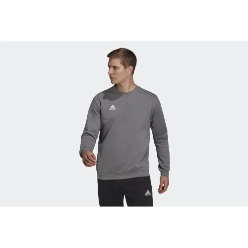 Кофта/футболка adidas Entrada 22 H57479 - Серая