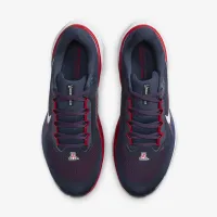Arizona Pegasus 41 чоловічі Nike College Road Running Кросівки блакитний