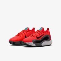 Nike IsoFly Big детские баскетбольные Кроссовки цвет красный