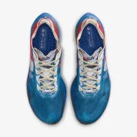 Nike Vaporfly 4 мужские Road Racing Кроссовки многоцветный