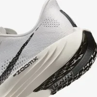 Nike Pegasus Plus мужские Road Running Кроссовки цвет серый