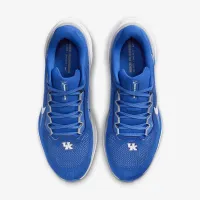Kentucky Pegasus 41 мужские Nike College Road Running Кроссовки синий