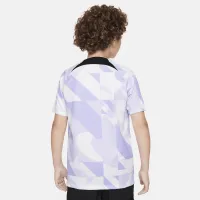 Club Америка Academy Pro Third Big детские Nike Dri-FIT Soccer Pre-Match Short-Sleeve Top цвет белый