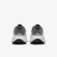 Nike Revolution 7 чоловічі Road Running Кросівки колір сірий