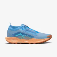 Nike Pegasus Trail 5 GORE-TEX чоловічі Waterproof Trail Running Кросівки блакитний