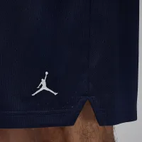 Nike Jordan Sport чоловічі Dri-FIT Mesh шорти блакитний