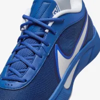 Nike Giannis Freak 6 баскетбольные Кроссовки синий