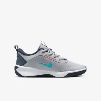 Nike Omni Multi-Court Big детские Indoor Court Кроссовки цвет серый