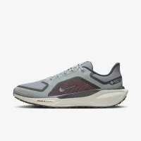 Nike Pegasus 41 GORE-TEX чоловічі Waterproof Road Running Кросівки колір сірий