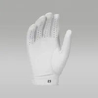 Nike Jordan Tour для гольфа Glove (Right Cadet) цвет белый