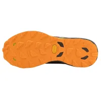 Кроссовки для бега w terenie Mizuno WAVE DAICHI 9 (J1GJ257103)