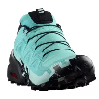 Кроссовки для бега w terenie SALOMON SPEEDCROSS 6 GTX Gore-tex (477656)
