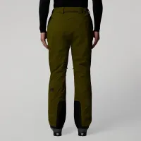 Штани The North Face Chakal 0A87Y7PIB1 - Зелені