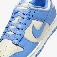Nike Dunk Low Retro мужские Кроссовки цвет белый