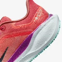 Nike Pegasus 41 GORE-TEX мужские Waterproof Road Running Кроссовки цвет красный