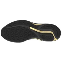 Мужские Кроссовки для бега MIZUNO WAVE RIDER GTX 2 (J1GC247901)