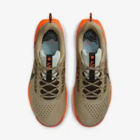 Nike Pegasus Trail 5 мужские Trail Running Кроссовки цвет коричневый