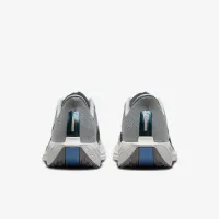 Nike Pegasus Plus женская Road Running Кроссовки цвет серый