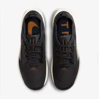 Nike Pegasus Trail 5 GORE-TEX чоловічі Waterproof Trail Running Кросівки колір чорний
