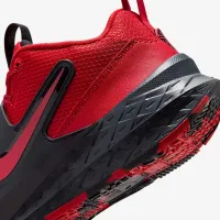 Nike Team Hustle D 12 Big детские баскетбольные Кроссовки цвет красный