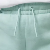 Nike Jordan Brooklyn Essentials Big детские Pants цвет зеленый