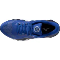 Мужские Кроссовки для бега MIZUNO WAVE SKY 7 (J1GC230254)