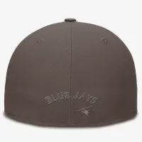 Toronto блакитний Jays Statement True чоловічі Nike Dri-FIT MLB Fitted Hat колір коричневий