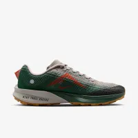 Nike Kiger 10 мужские Trail Running Кроссовки цвет серый