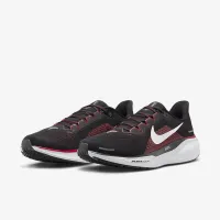 Nike Pegasus 41 NFL Atlanta Falcons мужские Road Running Кроссовки цвет черный