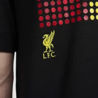 Liverpool FC мужские Nike Soccer футболка цвет черный