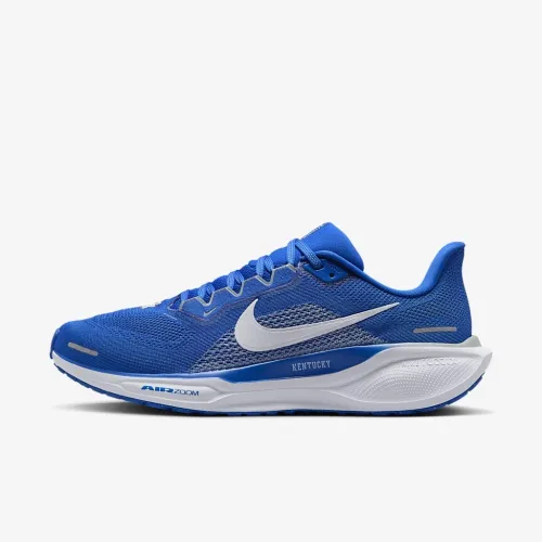 Kentucky Pegasus 41 чоловічі Nike College Road Running Кросівки блакитний