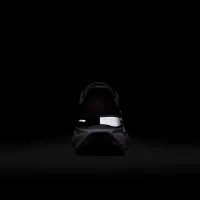 Nike Pegasus 41 SE жіноча Road Running Кросівки колір сірий