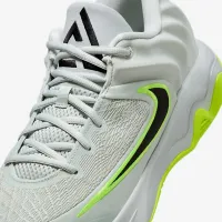 Nike Giannis Immortality 4 баскетбольные Кроссовки цвет серый