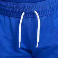 Nike Dri-FIT DNA Big детские (для мальчиков) баскетбольные шорты синий