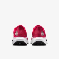 Ohio State Pegasus 41 чоловічі Nike College Road Running Кросівки колір червоний